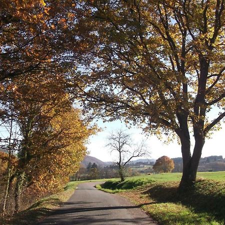 Hote Du Couzan Sail-sous-Couzan Exteriör bild